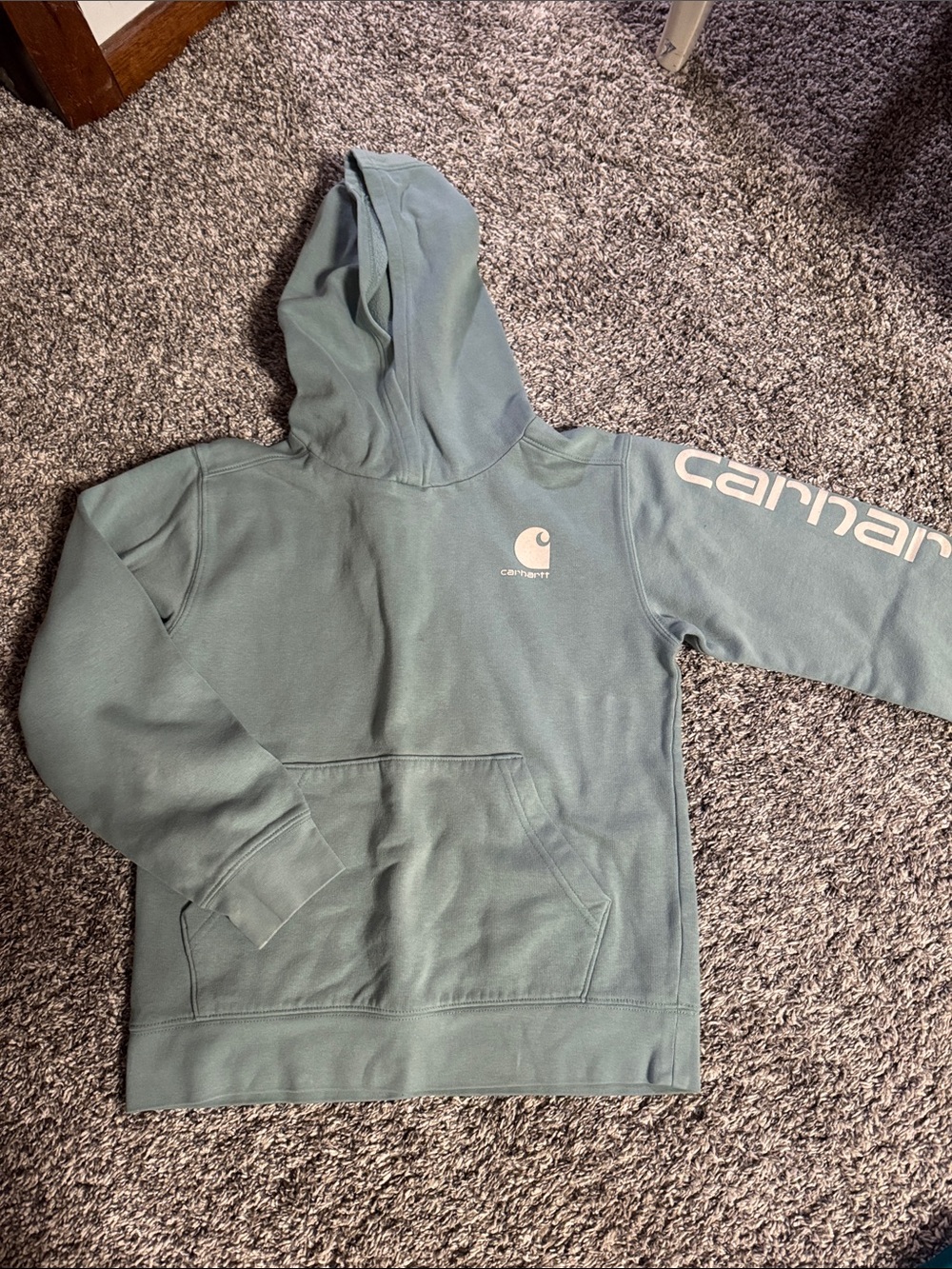 Carhartt Pullover Hoodie in Muted Seafoam